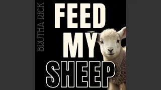 Feed My Sheep