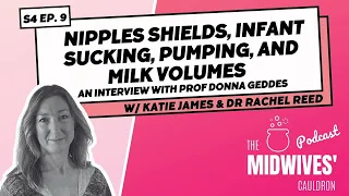Nipples, shields, infant sucking, pumping, and milk volumes - An interview with Prof Donna Geddes