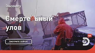 Золото Аляски | Смертельный улов | Discovery