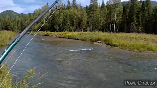 Рыбалка на хариуса в Хакасии. Таёжная река.