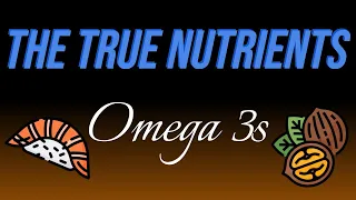 The True Nutrients - Omega 3 Fatty Acids