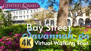 Explore Savannah Georgia's Bay Street! Virtual Walking Tour