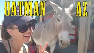 #264 Oatman, Arizona: Donkeys in the Streets