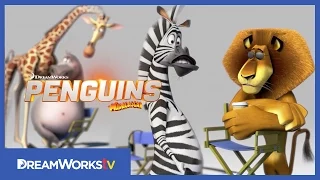 Madagascar Animals Gossip About The Penguins | PENGUINS OF MADAGASCAR