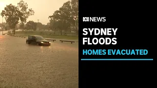 Thousands of Sydneysiders wake to evacuation orders as flood crisis deepens | ABC News