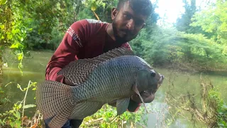 amazing hook fishing big thilapi fish catching | sri lanka river fish | දියසෙවල් වලින් මාළු ඇල්ලීම