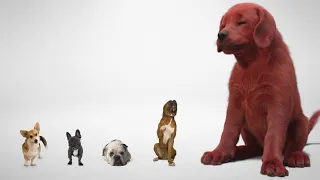 Clifford The Big Red Dog | First Look | In Theatres 2021