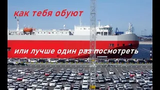 Развод при покупке авто с Японии