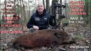 Hog ARROWED WITH RAGE BROADHEAD IN Louisiana with perfect heart shot