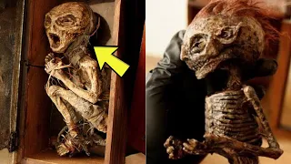 The Truth Behind The Mysterious Skeletons In An Orphanage Basement