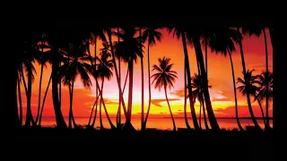 GTA Vice City - "Crockett's Theme" - Jan Hammer (Emotion 98.3)