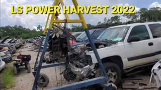 LS POWER HARVEST - 2022