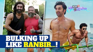 Ranbir Kapoor's Transformation From 'Beach Body To Beast Body'; How To Achieve It In A Healthy Way