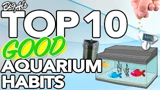 Top 10 Good Aquarium Habits | BigAlsPets.com