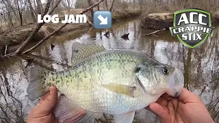 CRAPPIE Fishing From The Bank 🪵| You Won’t Believe The Size of These CRAPPIE 💥 | Creek CRAPPIE‼️