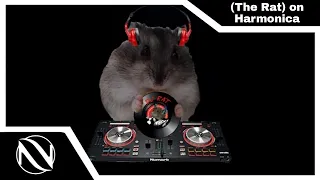 🐀 The Rat on Harmonica SUBTITULADO EN ESPAÑOL 2021 The Kiffness feat. Kiff Wife X Veronica 🤣🎶