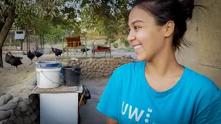Uzbek girl showed me a village in Uzbekistan [ENG SUBS]