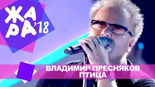 Владимир Пресняков  - Птица  (ЖАРА В БАКУ Live, 2018)