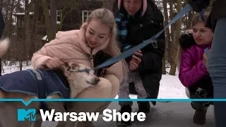 Ekipa pomaga pieskom | Warsaw Shore