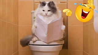 Funny Dog And Cat Videos 🐈😘🐕 - Best Funny Animal Videos 2023 🤣 #6.mp4