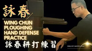 Wing Chun Ploughing Hand defense practice詠春耕打練習