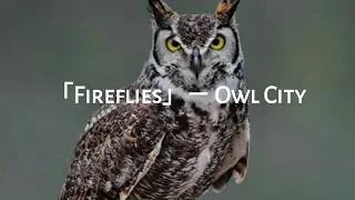 「Fireflies」－   Owl City