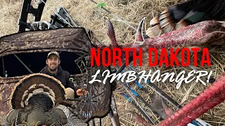 Hunting aggressive turkeys with a BOW! (THIS GOBBLER HAS HUGE SPURS!)