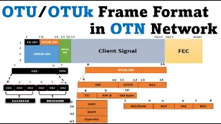 OTN Overhead || OTN Basic || Frame structure || OPU/ODU/OTU  #OTN | DWDM || Fiber
