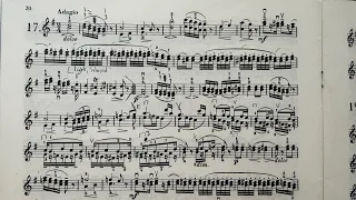 Fiorillo 36 Etudes or Caprices, No. 17 Adagio