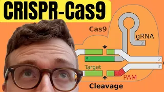 Introduction To CRISPR-Cas9