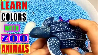 Learn Colors with Wild Zoo Animals Farm Surprise Toy for Kid Child with Foam Beads